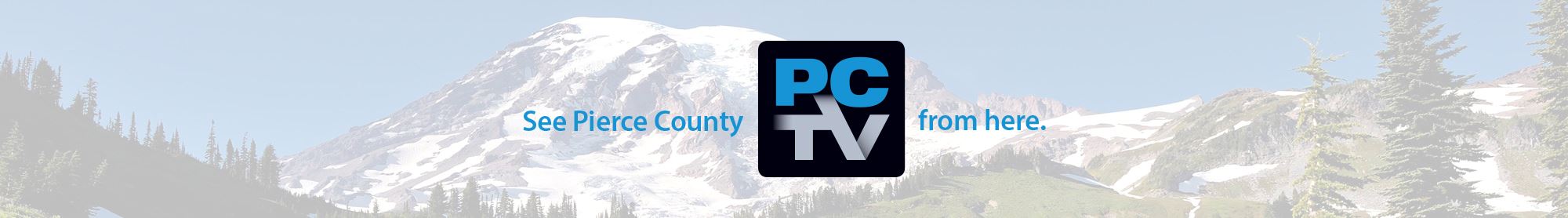 PCTV Banner Web Form